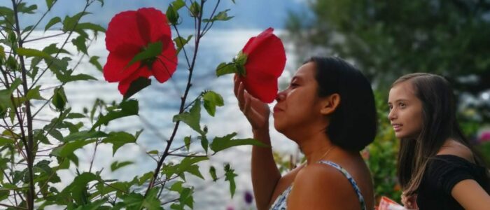 mountreux 2019 thomasboehm.ch