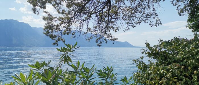 mountreux 2019 thomasboehm.ch