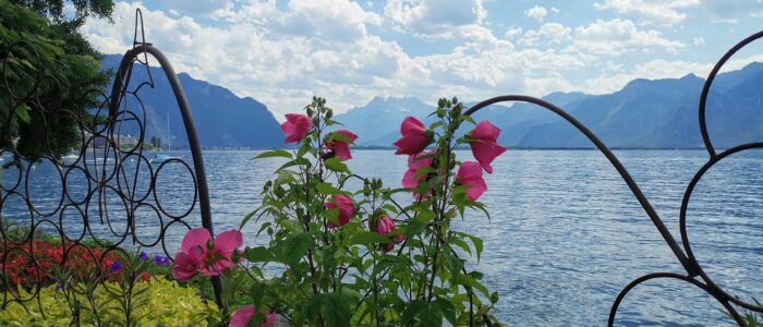 Montreux 2019 thomasboehm.ch