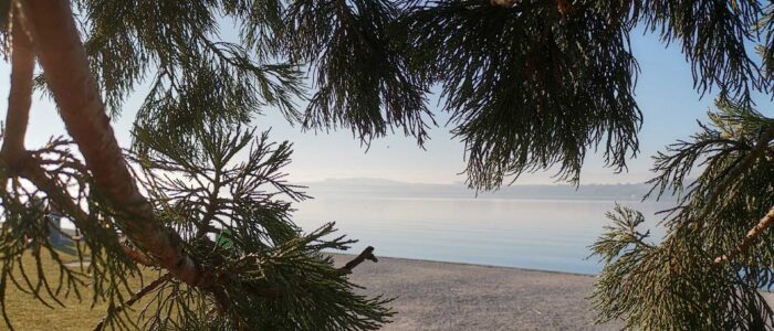 murten thomasboehm.ch