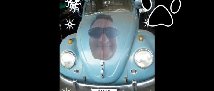 thomasboehmdesign thomasboehm.ch