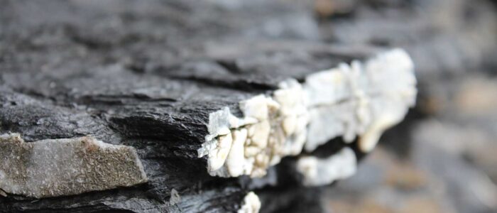 vulcano thomasboehm.ch