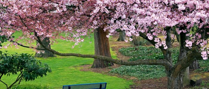 thomasboehmdesign thomasboehm.ch