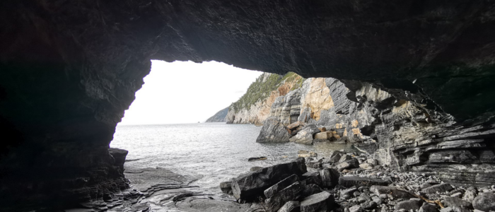 julian assange thomasboehm.ch